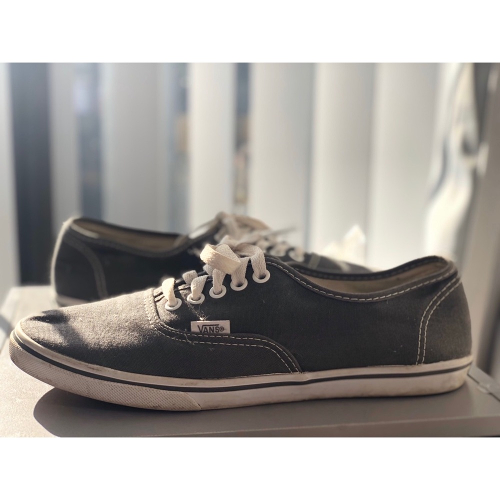 VANS Unisex Authentic Grey Sneaker